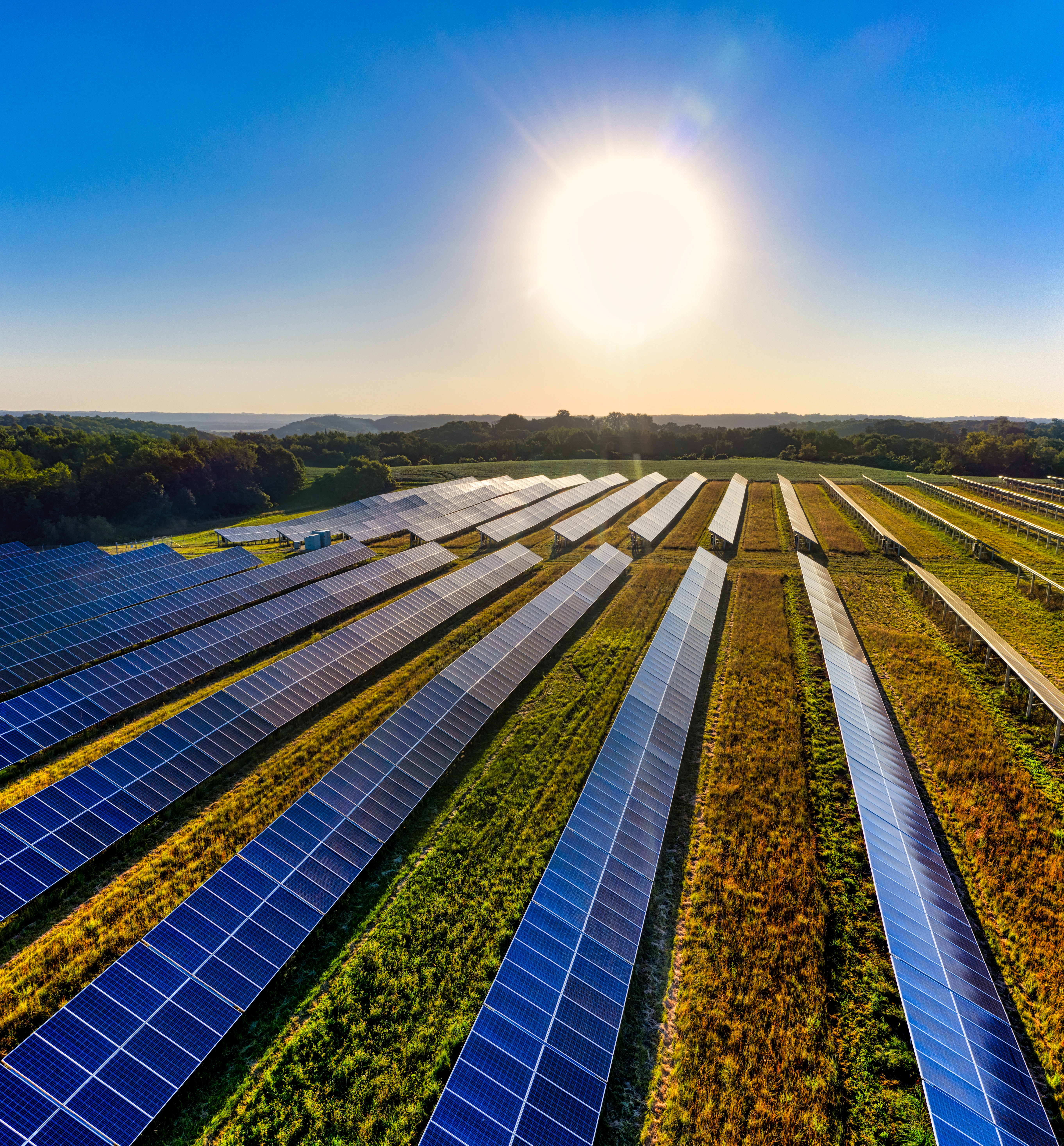 The Future of Solar